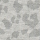 Bež - leopard print