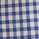 Docksider Blue Gingham