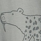 Rjava - gray tiger