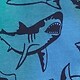 Modra - breezy blue