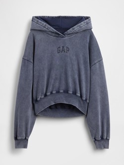 Vintage Soft Arch Logo Cropped Hoodie