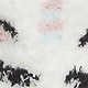 Bela - Unicorns