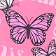 Roza - Standout Pink