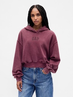 Vintage Soft Arch Logo Cropped Hoodie