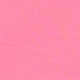 Roza - Neon Pink Rose
