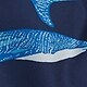 Modra - blue shark