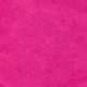 Roza - Viva Magenta Pink