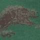 Zelena - Green Dino