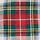 Večbarvna - Stuart Plaid