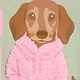 Zelena - Desert Sage Green Dog