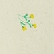 Rumena - Mini Yellow Floral